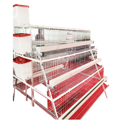 Best Price A-Type 3 Levels 4 Door Chicken Layer Battery Cage for Farm