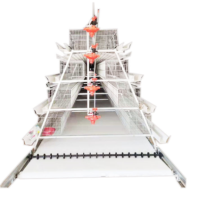 Best Price A-Type 3 Levels 4 Door Chicken Layer Battery Cage for Farm