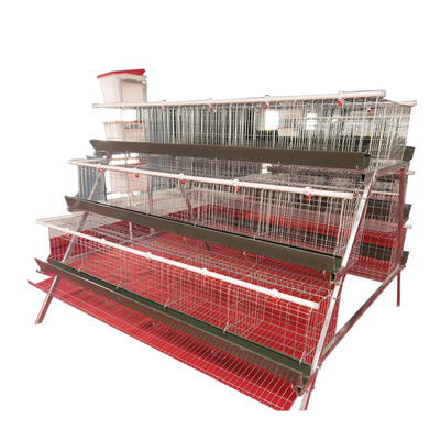 High Quality A-Type 3 Levels 4 Door Green Trough Chicken Layer Battery Cage for Farm