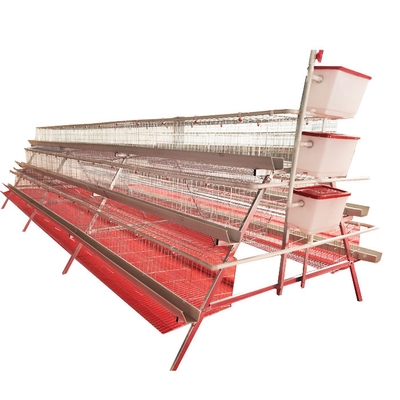 High Quality A-Type 3 Levels 4 Door Green Trough Chicken Layer Battery Cage for Farm