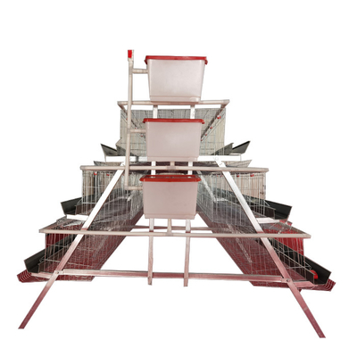 High Quality A-Type 3 Levels 4 Door Green Trough Chicken Layer Battery Cage for Farm