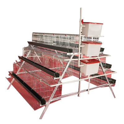High Quality A-Type 3 Levels 4 Door Green Trough Chicken Layer Battery Cage for Farm