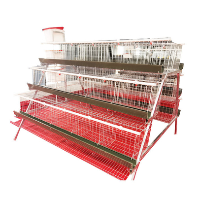 High Quality A-Type 3 Levels 4 Door Green Trough Chicken Layer Battery Cage for Farm