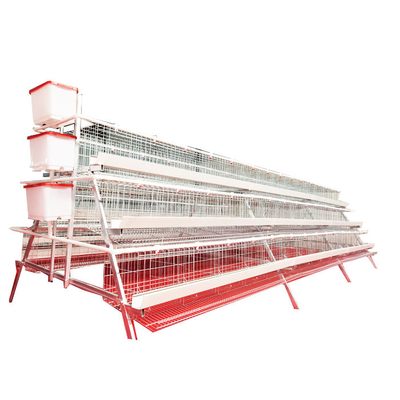 Best Selling A-Type 3 Levels 5 Door White Trough Chicken Layer Battery Cage for Farm