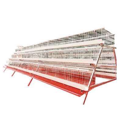 Best Selling A-Type 3 Levels 5 Door White Trough Chicken Layer Battery Cage for Farm