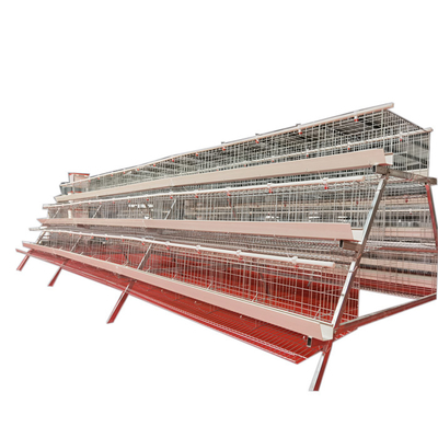 Best Selling A-Type 3 Levels 5 Door White Trough Chicken Layer Battery Cage for Farm