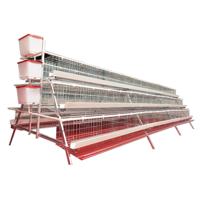 Best Selling A-Type 3 Levels 5 Door White Trough Chicken Layer Battery Cage for Farm