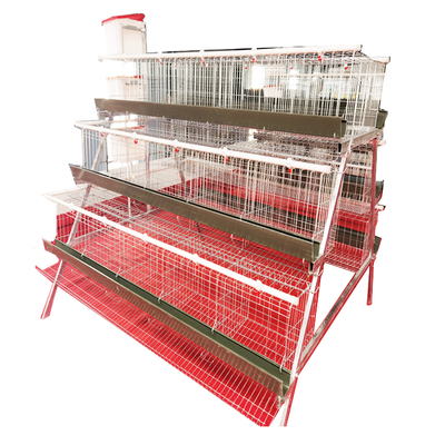 Best Selling A-Type 3 Levels 5 Door Green Trough Chicken Layer Battery Cage for Farm