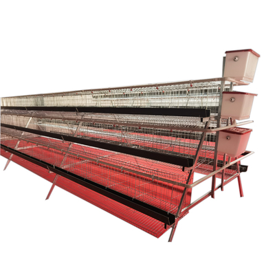 Best Selling A-Type 3 Levels 5 Door Green Trough Chicken Layer Battery Cage for Farm