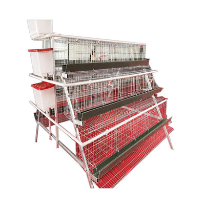 Best Selling A-Type 3 Levels 5 Door Green Trough Chicken Layer Battery Cage for Farm