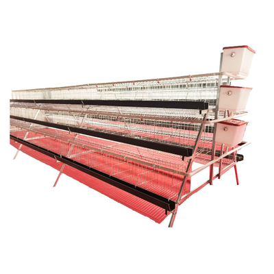Best Selling A-Type 3 Levels 5 Door Green Trough Chicken Layer Battery Cage for Farm