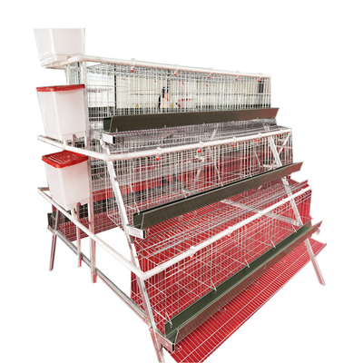 Best Selling A-Type 3 Levels 5 Door Green Trough Chicken Layer Battery Cage for Farm