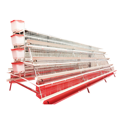 Hot Sale A-Type 4 Levels 4 Door White Trough Chicken Layer Battery Cage for Farm