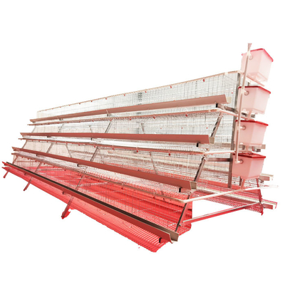 Hot Sale A-Type 4 Levels 4 Door White Trough Chicken Layer Battery Cage for Farm