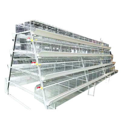 Hot Sale A-Type 4 Levels 4 Door White Trough Chicken Layer Battery Cage for Farm