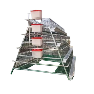 Hot Sale A-Type 4 Levels 4 Door White Trough Chicken Layer Battery Cage for Farm