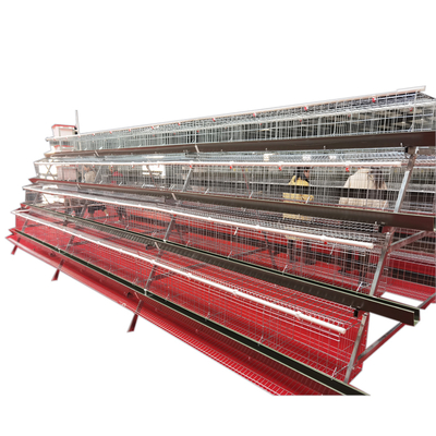 Best Price A-Type 4 Levels 4 Door Full Automatic Chicken Layer Battery Cage for Farm Use