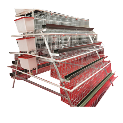 Best Price A-Type 4 Levels 4 Door Full Automatic Chicken Layer Battery Cage for Farm Use