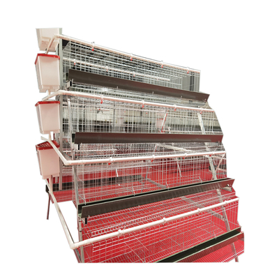 Best Price A-Type 4 Levels 4 Door Full Automatic Chicken Layer Battery Cage for Farm Use
