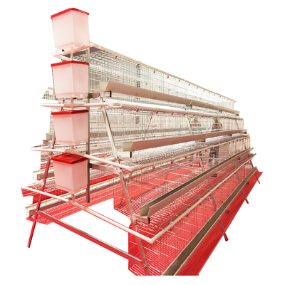 High Quality  Full Automatic A-Type 4 Levels 5 Door White Trough Chicken Layer Battery Cage for Farm