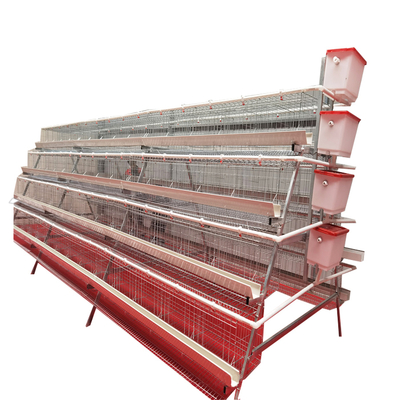 High Quality  Full Automatic A-Type 4 Levels 5 Door White Trough Chicken Layer Battery Cage for Farm
