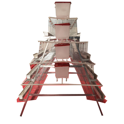 High Quality  Full Automatic A-Type 4 Levels 5 Door White Trough Chicken Layer Battery Cage for Farm