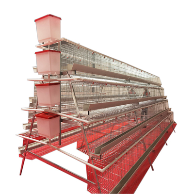 High Quality  Full Automatic A-Type 4 Levels 5 Door White Trough Chicken Layer Battery Cage for Farm