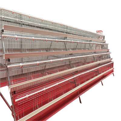 High Quality  Full Automatic A-Type 4 Levels 5 Door White Trough Chicken Layer Battery Cage for Farm