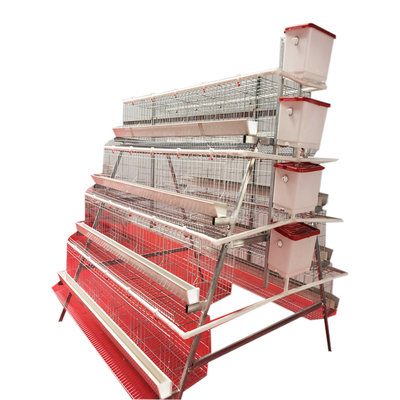 High Quality  Full Automatic A-Type 4 Levels 5 Door White Trough Chicken Layer Battery Cage for Farm