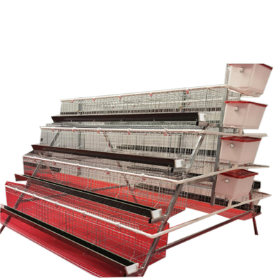 Good Quality A-Type 4 Levels 5 Door Full Automatic Chicken Layer Battery Cage for Farm Use