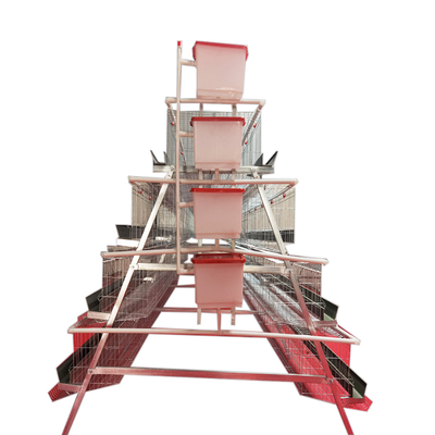 Good Quality A-Type 4 Levels 5 Door Full Automatic Chicken Layer Battery Cage for Farm Use