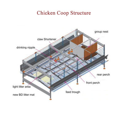 Good Quality A-Type 4 Levels 5 Door Full Automatic Chicken Layer Battery Cage for Farm Use