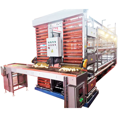 High Quality H-Shaped Full Automatic Chicken Layer Cage for Farm Use