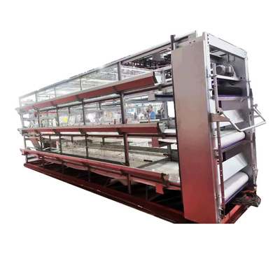 Best-Selling H-Shaped Full Automatic Chicken Layer Cage for Farm Use