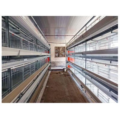 Best-Selling H-Shaped Full Automatic Chicken Layer Cage for Farm Use