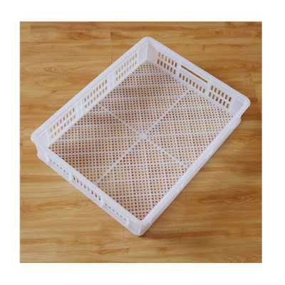 Automatic Multifunctional Agricultural Egg Incubator Hatching Baskets Farm Suitable Factory Supplied Spare Part Chicken