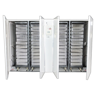 Automatic Multifunctional Agricultural Egg Incubator Hatching Baskets Farm Suitable Factory Supplied Spare Part Chicken