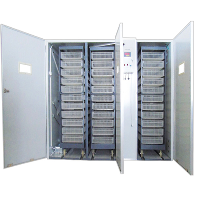 Hot Sale Automatic Multifunctional Agricultural Egg Incubator Hatching Baskets Farm Suitable Factory Supplied Spare Part Chicken