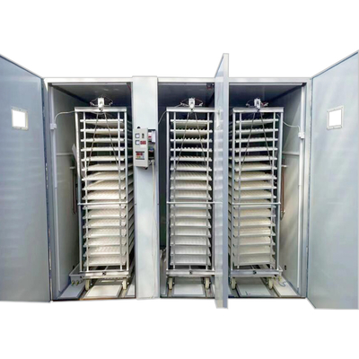 High Quality Full Automatic 16896 Chicken Poultry Egg Incubator 98% Rate New Condition 220V Motor for Home Farm Use