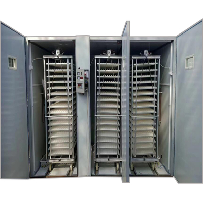 High Quality Full Automatic 16896 Chicken Poultry Egg Incubator 98% Rate New Condition 220V Motor for Home Farm Use