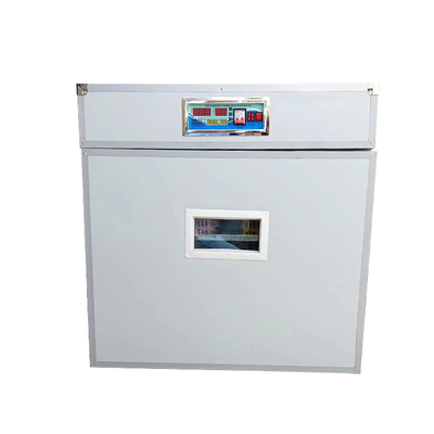 Popular Manufacturer's Full Automatic Ostrich Pigeon Bird Incubator Multifunctional 220V PP Tray Incubator for Home Use