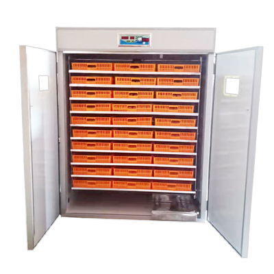 High Quality Automatic Setter Egg Incubator Cabinet 2640 Cheap PP Material for Home Farm Use