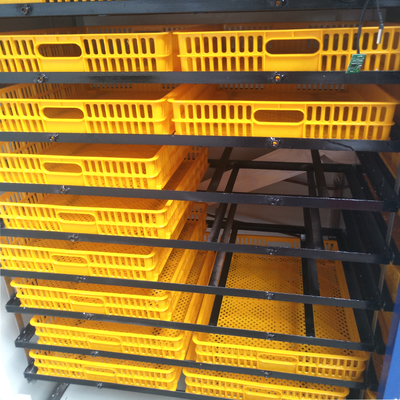 High Quality Automatic Setter Egg Incubator Cabinet 2640 Cheap PP Material for Home Farm Use
