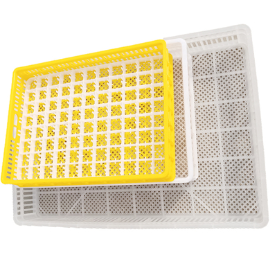 High Quality Automatic Setter Egg Incubator Cabinet 2640 Cheap PP Material for Home Farm Use