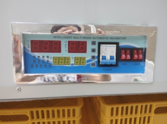 High Quality Automatic Setter Egg Incubator Cabinet 2640 Cheap PP Material for Home Farm Use
